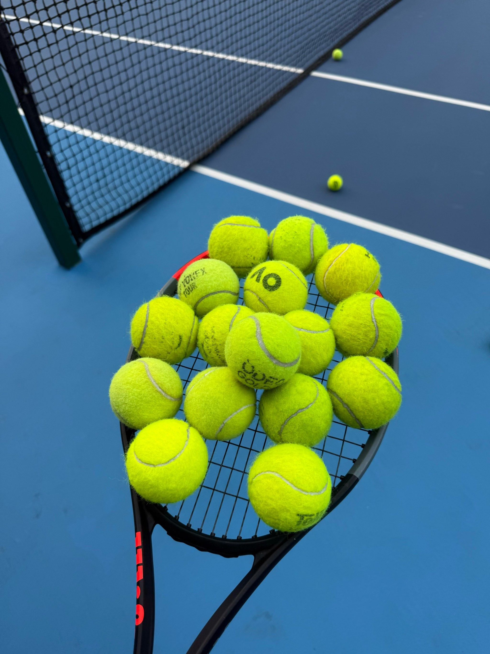 可以预见 可以预见