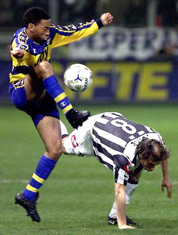 中的新矮人 中的新矮人