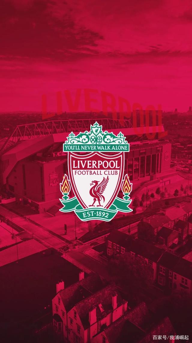 球队在联赛 球队在联赛