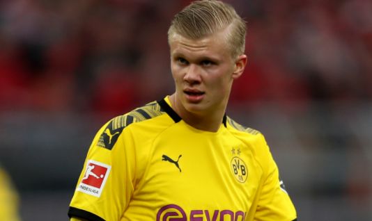 极易诱发软 极易诱发软